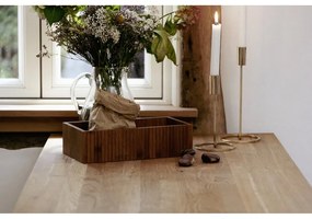 Bambusový úložný box v prírodnej farbe 30x15x8 cm Mera – Wenko