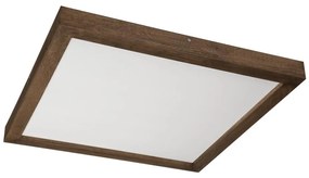 Brilagi-LED Kúpeľňové svietidlo WOODY FRAME LED/50W/230V 60x60 cm IP44 dub/orech