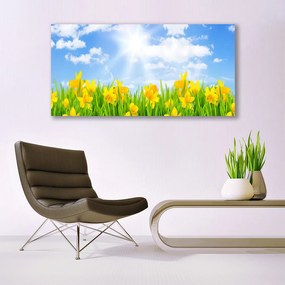 Obraz plexi Narcisy lúka tráva príroda 120x60 cm