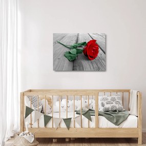 Sklenený obraz - Červená ruža so zelenou stonkou (70x50 cm)