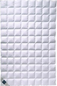 XXXLutz LETNÁ PRIKRÝVKA, 140/200 cm, páperie Billerbeck - Prikrývky & vankúše - 003279006401