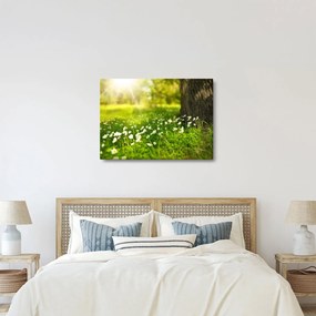 Obraz paseky a kvetín (70x50 cm)