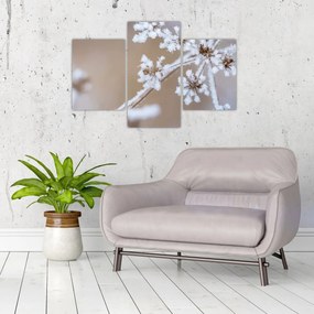 Obraz - Mráz (90x60 cm)
