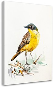 Gario Obraz na plátne Žltý vták - Dorota Martyńska Rozmery: 40 x 60 cm