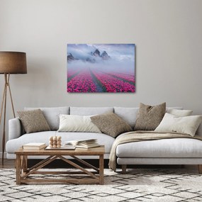 Obraz - Krajina s tulipánovými poľami (70x50 cm)