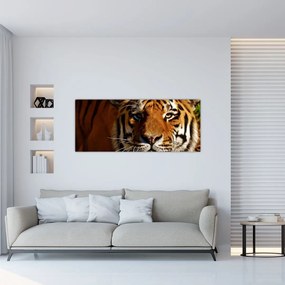 Obraz tigra (120x50 cm)