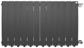 Terma Bergamo 590x960 vodný radiátor Anthracite LP