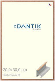 DANTIK rám na obraz 20x30 | ALU Dýha dub lak matný (Sklo Čiré)