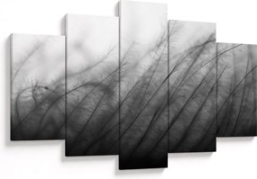 Obraz - Tráva vo vetre (150x105 cm)