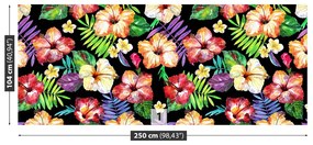 Fototapeta Vliesová Kvety ibišteka 152x104 cm