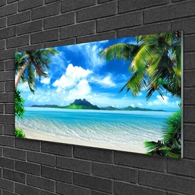Skleneny obraz Palmy more tropický ostrov 100x50 cm
