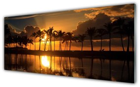 Obraz na akrylátovom skle Stromy slnko krajina 125x50 cm