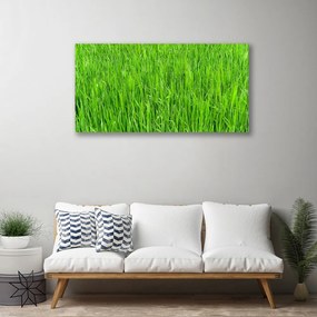 Obraz Canvas Zelená tráva príroda trávnik 140x70 cm