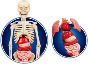 Vedecká zábava Ľudské telo Poľský jazyk Clementoni 60249