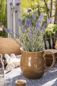 Ib Laursen Džbán Mynte Hazelnut 2,5 l