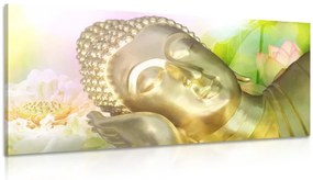 Obraz spiaci Budha Varianta: 100x50