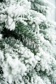 Limpol Horský smrek zasnežený 1,70 m