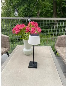 Immax 08492L - LED Stmievateľná vonkajšia solárna lampa LED/4W/5V IP44