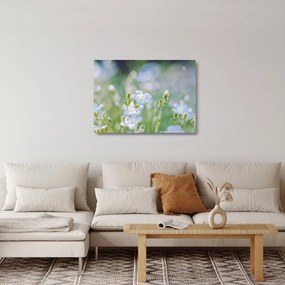 Sklenený obraz - Jemné kvety (70x50 cm)