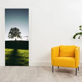 Fototapeta na dvere - Strom (95x205cm)