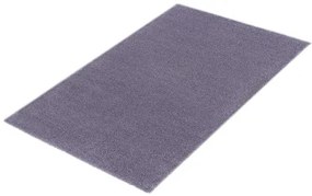 Koberce Breno Kusový koberec DOLCE VITA 01/LLL, fialová,80 x 150 cm