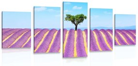 5-dielny obraz provensálske levanduľové pole Varianta: 100x50