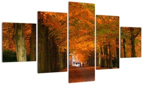 Obraz cesty lesom na jeseň
