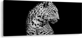 Obraz - Leopard (120x50 cm)