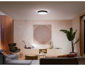 Philips - LED Stmievateľné stropné svietidlo Hue ENRAVE L LED/33,5W/230V čierna+ DO