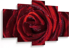 Obraz - Červená ruža s kvapkami rosy (150x105 cm)