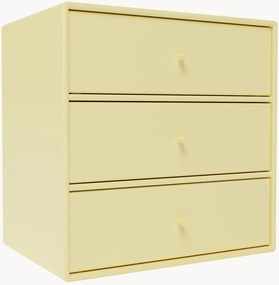 Modul Mini 1007
