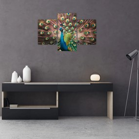 Obraz - Páv (90x60 cm)