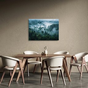 Sklenený obraz - Les v hmle (70x50 cm)