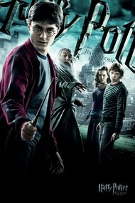 Umelecká tlač Harry Potter - Polovičný princ