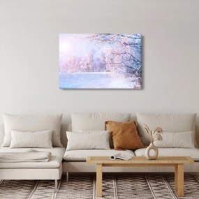 Obraz - Mrazivá zima (90x60 cm)