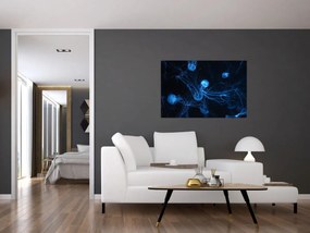 Obraz - Medúzy (90x60 cm)