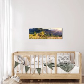 Obraz - Lesná krajina (s hodinami) (90x30 cm)