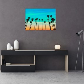 Obraz - Kalifornia (70x50 cm)