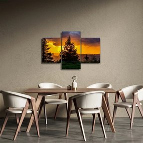 Obraz - ihličnany (90x60 cm)