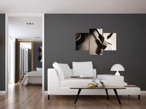 Obraz - Gramofónová doska (90x60 cm)