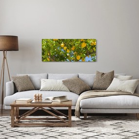 Obraz - Citrónovník (120x50 cm)