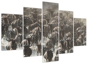 Obraz - Stádo pakoňov (150x105 cm)