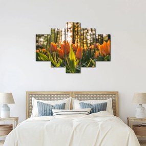 Obraz - oranžové tulipány (150x105 cm)
