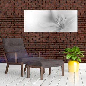 Obraz - Jemná ľalia (120x50 cm)