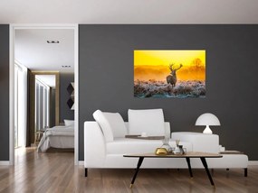 Obraz - Jeleň pri východe slnka (90x60 cm)