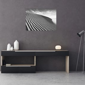Obraz - Piesočná duna (70x50 cm)