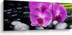 Obraz - Orchidey (s hodinami) (90x30 cm)