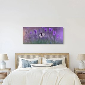 Obraz - Motýľ v levanduli (120x50 cm)