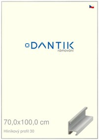 DANTIK rám na obraz 70x100 | ALU Dýha barevná šedá světlá (Plexi Čiré)