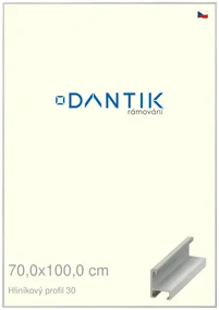 DANTIK rám na obraz 70x100 | ALU Dýha barevná šedá světlá (Plexi Čiré)